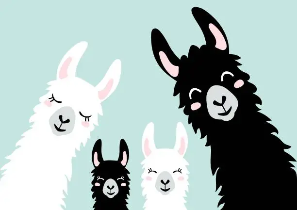 Vector illustration of Llama Alpaca. The klan card. Family illustration, vector - Vector