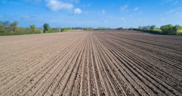 Freshly trailed agricultural field in spring time stock photo