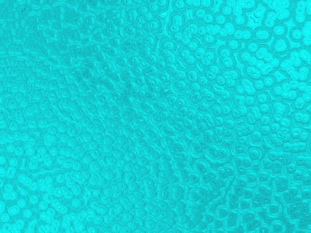 istock Teal Mint Blue Bubble Background Ombre Glittering Abstract Foam Circle Metallic Turquoise Pattern 1147527072
