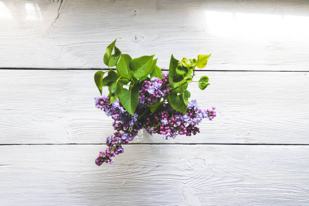 lilac flowers on empty table. Top View