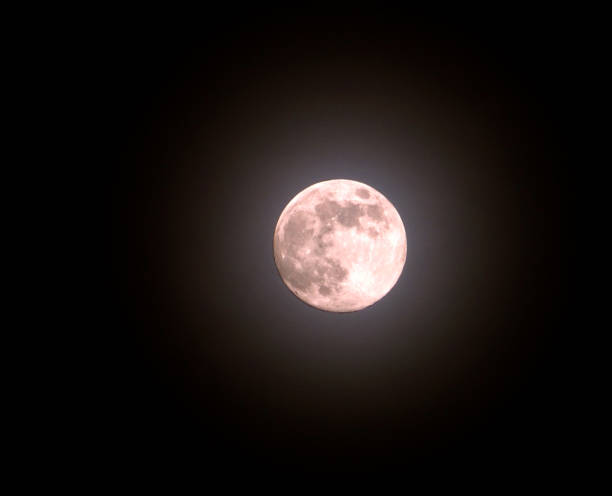 a full pink april moon on with surrounding glow in a black night sky