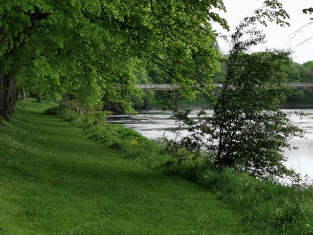 istock River bank in Avenham Park 1147529962