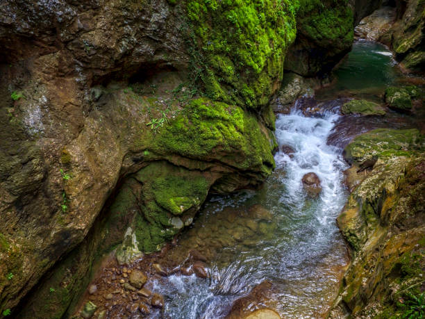 River flowing in Horma Canyon in Kastamonu Province, Turkey