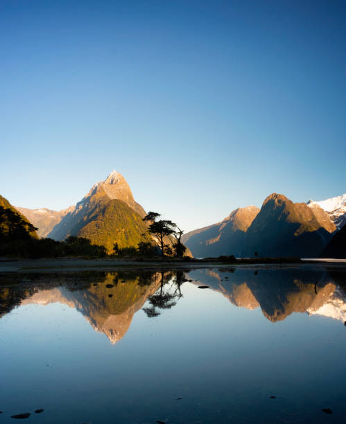 Dawn At Milford Sound, In New Zealand's Fiordland National Park The spectacular landscape around Mitre Peak and Milford Sound, in the Fiordland National Park on New Zealand's South Island. milford sound stock pictures, royalty-free photos & images