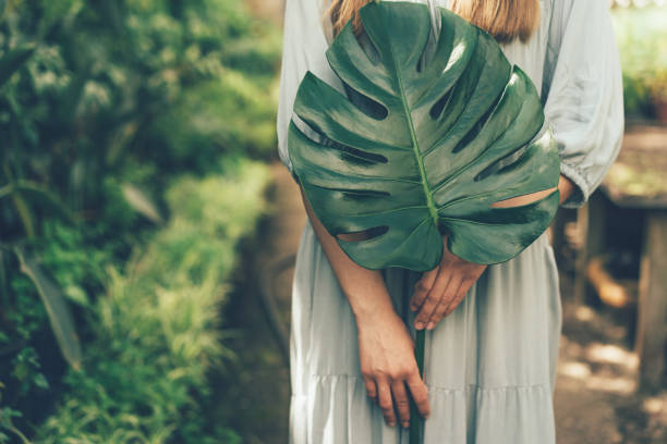 istock girl and monstera leaf 1147532754