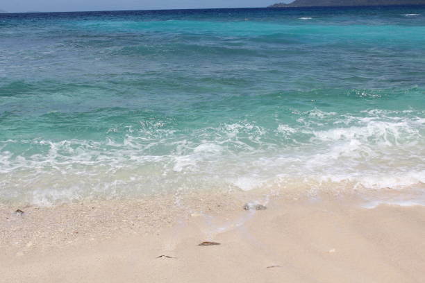 istock seychelles private island beach 1147533511