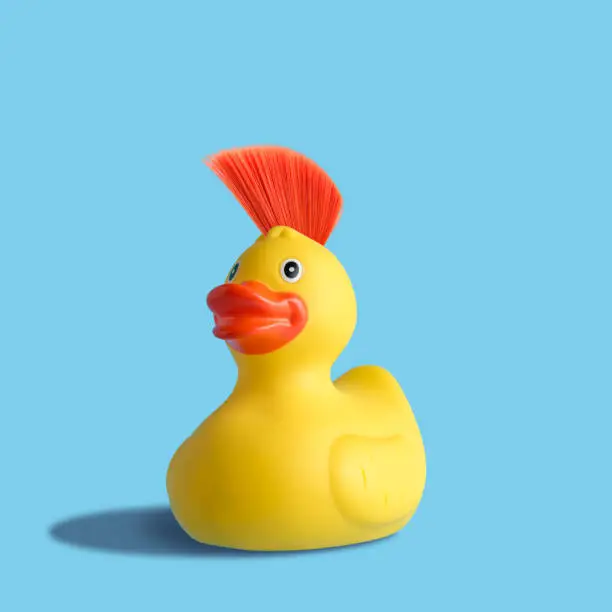Yellow rubber duck with mohawk on blue background. Summer minimal concept.
