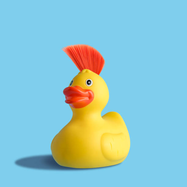 yellow rubber duck with mohawk on blue background. summer minimal concept. - duck toy imagens e fotografias de stock