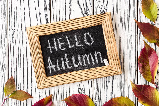 istock Hello autumn greeting text on chalkboard. Top view. 1147537796