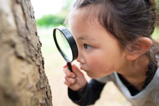 ragazza che guarda con lente d'ingrandimento - searching child curiosity discovery foto e immagini stock