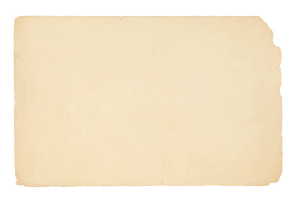 eine horizontale vektordarstellung eines schlichten, blank beige gefärbten alten papiers - index card paper cut or torn paper card file stock-grafiken, -clipart, -cartoons und -symbole