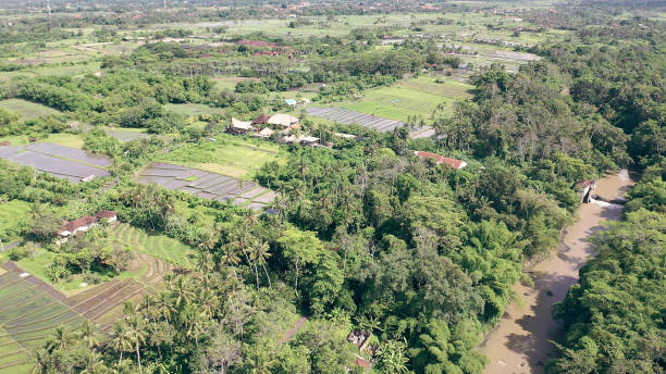 istock Aerial view of rice fields covered with water. Bali 1147541379
