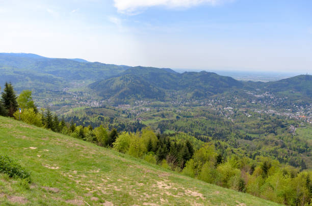 istock Scenic landscape in the Black Forest in Germany 1147543328