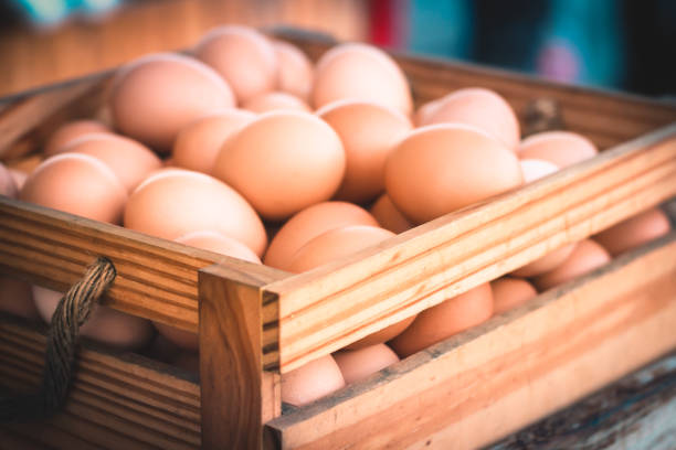 istock Fresh farm egg in wooden box 1147543682