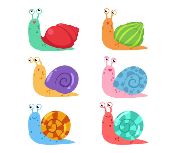 симпатичный вектор мультяшной улитки с различными оболочками на белом фоне - vector animal snail slug stock illustrations