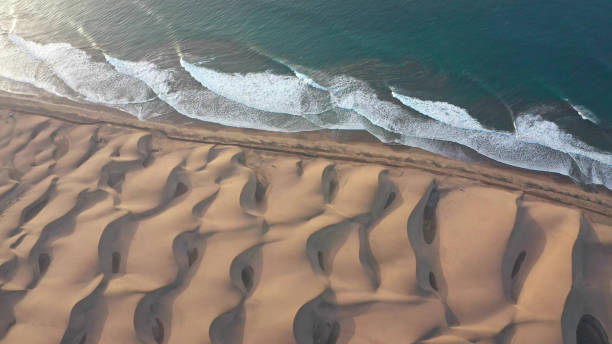 Desert coastline. Aerial view