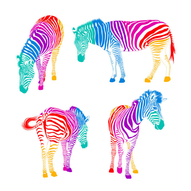 40+ Rainbow Zebra Clip Art Stock Illustrations, Royalty-Free Vector  Graphics & Clip Art - iStock