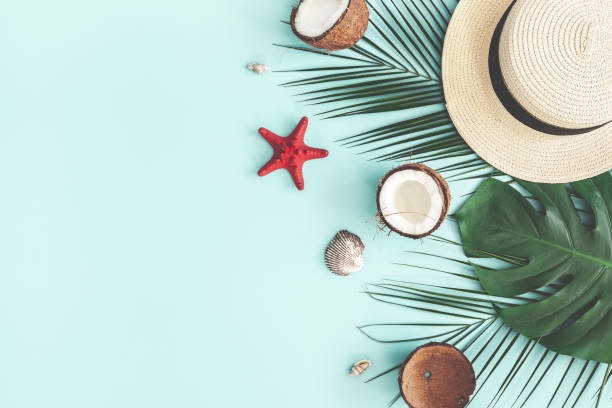 istock Summer composition. Tropical palm leaves, hat, coconut on pastel blue background. Summer concept. Flat lay, top view, copy space 1147552549