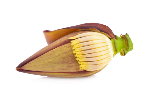 uncooked banana blossom on white background