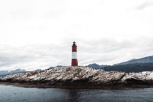 View of beautiful red lighthouse on the small island full of birdlife and sea lions at Pacific Ocean, Tierra Del Fuego region, Ushuaia, Argentina