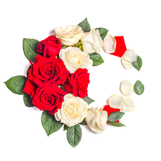 istock Wreath of roses on a white background 1147558415