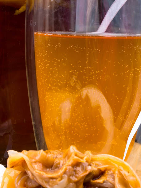 istock fermented drink, jun tea healthy natural probiotic in a glass jar. 1147563747