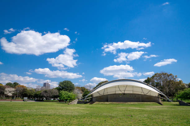 istock Beautiful scenery of a refreshing park 1147563871