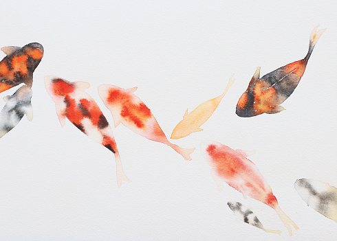Fish painting with watercolor on white paper