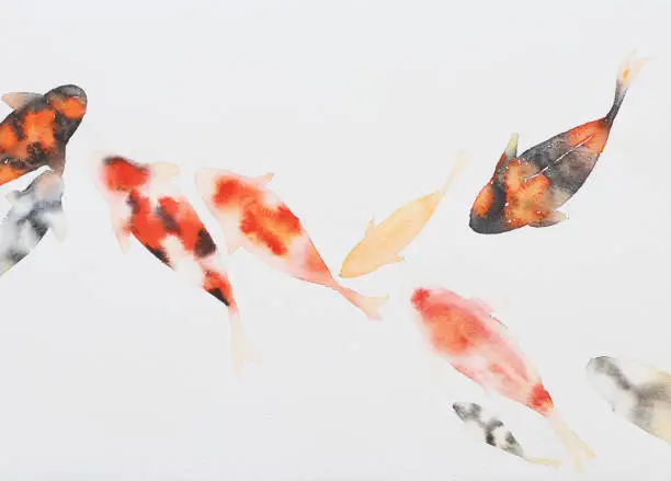 Photo of Fish painting with watercolor on white paper