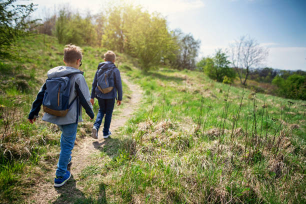 istock Little boys hiking in spring forest 1147565704