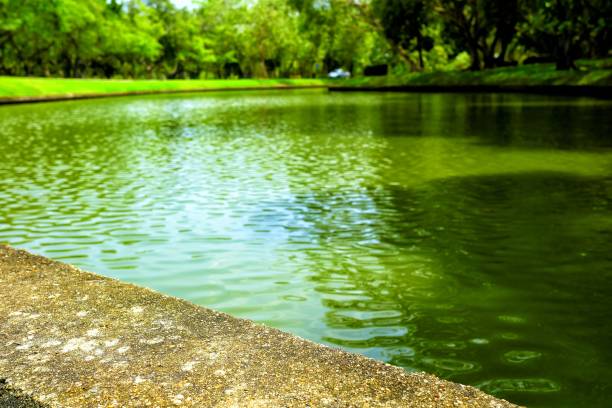 Concrete Ground with Pond in the Park Background.