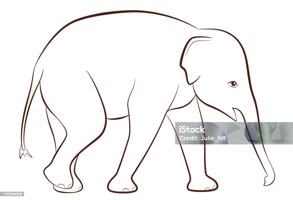 Baby elephant in outline style isolated on white background Vector illustration of Asian elephant calf, coloring page for children Coloring Book Page - Illlustration Technique stock vector