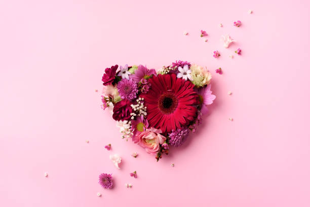 Heart shape made of spring flowers on pink punchy pastel background. Top view, flat lay. Summer concept. Valentine's day. Creative layout. stock photo
