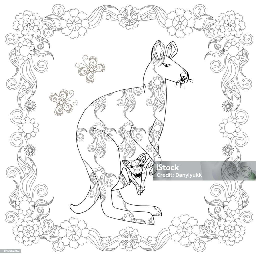 Kenguru In Frame Coloring Page Flower Design Element Cartoons Cute Funny  Illustration Stock Illustration - Download Image Now - iStock