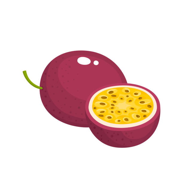 ilustraciones, imágenes clip art, dibujos animados e iconos de stock de ilustración vectorial brillante de fruta fresca de la pasión aislada en blanco - parchita