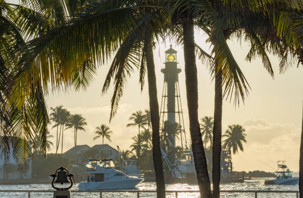 istock morning boat ride past palm trees and a lighthouse 1147569126