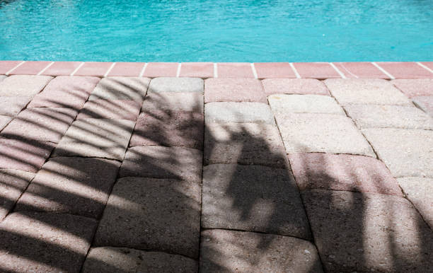 istock palm frond shadow on patio paver bricks by a swimming pool 1147570059
