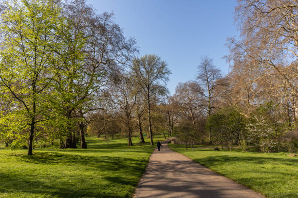 istock Hyde Park in London, England 1147570115