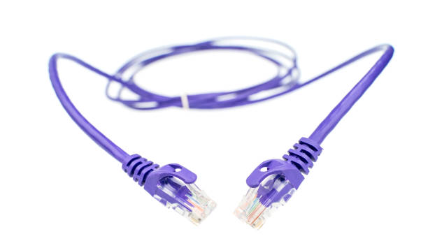 cabo de conexão de rede roxo ordenadamente enrolado - network connection plug cable computer cable internet - fotografias e filmes do acervo