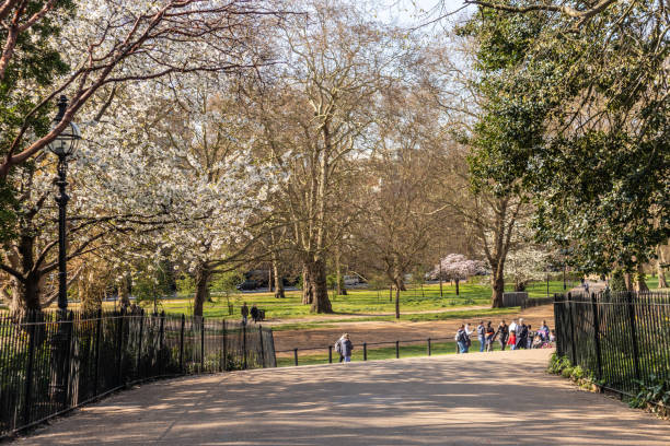 イギリス・ロンドンのハイド・パーク - london england park london hyde street ストックフォトと画像