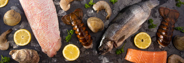 istock A Collage of Various Seafood Items From a Fishmonger or Fish Market 1147570883