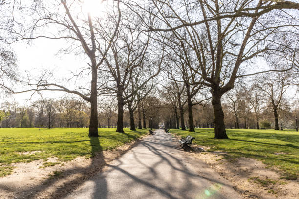 イギリス・ロンドンのハイド・パーク - london england park london hyde street ストックフォトと画像