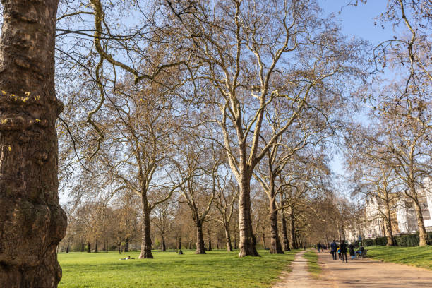 イギリス・ロンドンのハイド・パーク - london england park london hyde street ストックフォトと画像