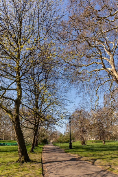 イギリス・ロンドンのハイド・パーク - london england park london hyde street ストックフォトと画像