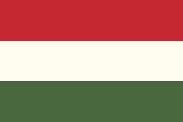 Flag of Hungary Flag of Hungary. Vector illustration. World flag eger stock illustrations