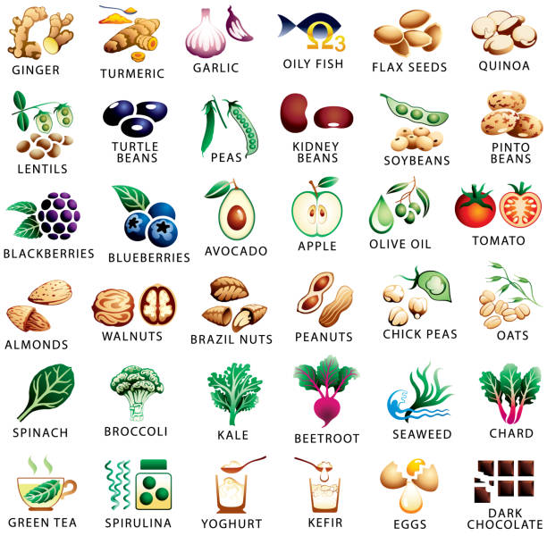 ilustraciones, imágenes clip art, dibujos animados e iconos de stock de los iconos de color de alimentos saludables y superalimentos se - antioxidant