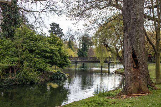 istock Regent's Park in London 1147573718
