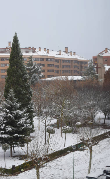 istock Snowy parks of a city. 1147573849