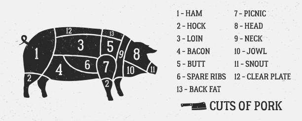 диаграмма мяса. куски свинины. силуэт свиньи изолирован на белом фоне. винтажный плакат для мясной лавки с гранж-текстурой. иллюстрация век� - pig pork ham meat stock illustrations