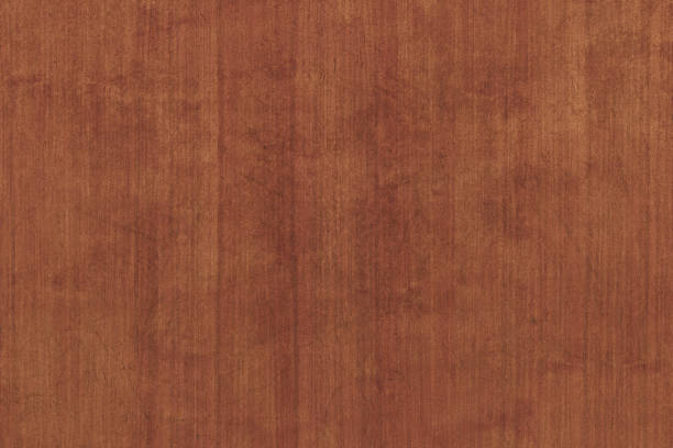 istock brown oak tree timber wood surface texture background wallpaper 1147575502